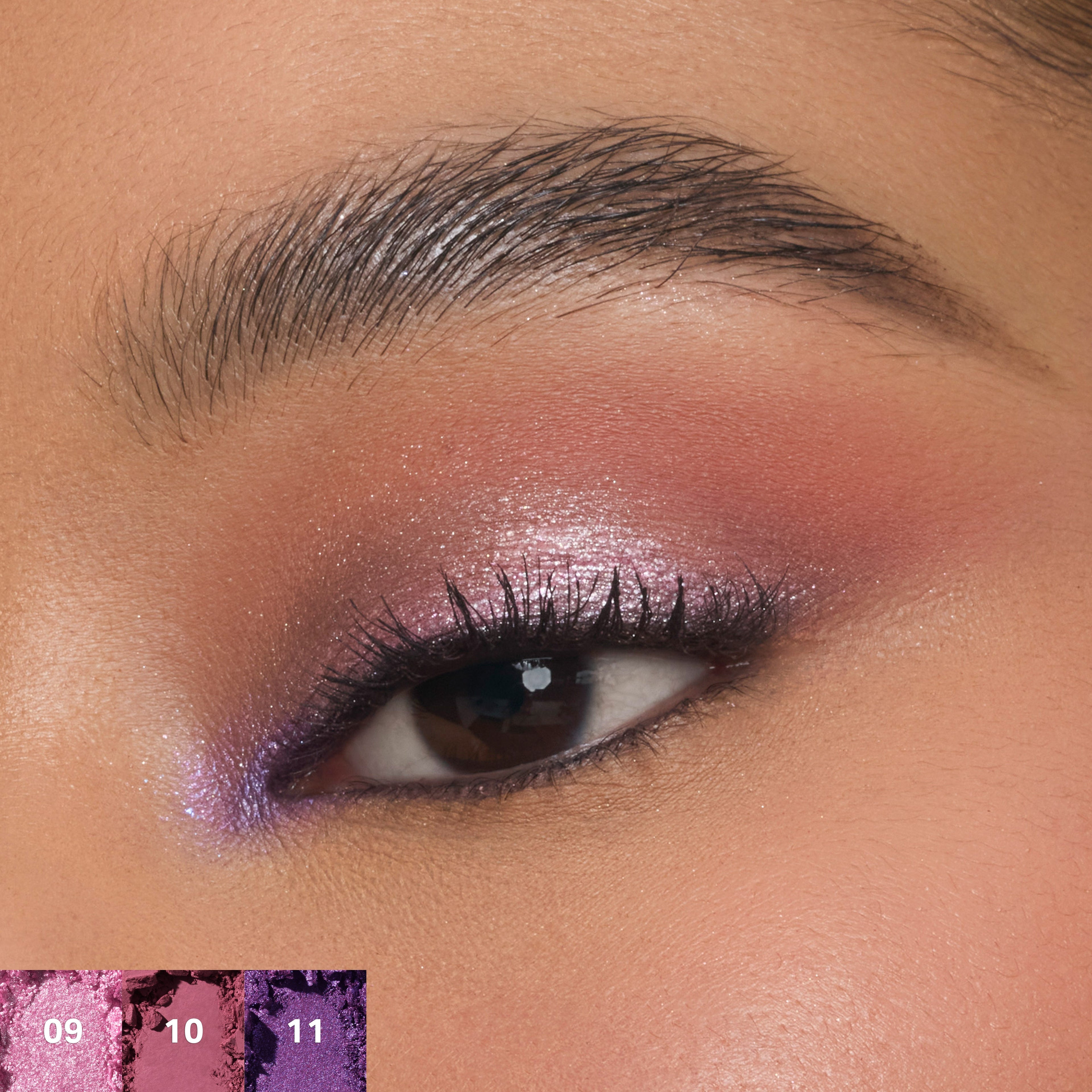 ChromaPlus 12-Pan Eyeshadow Palette